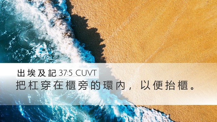 出 埃 及 記 37:5 CUVT Desktop Wallpaper - 把 杠 穿 在 櫃 旁 的 環 內 ， 以 便 - Desktop Bible Verse Wallpaper