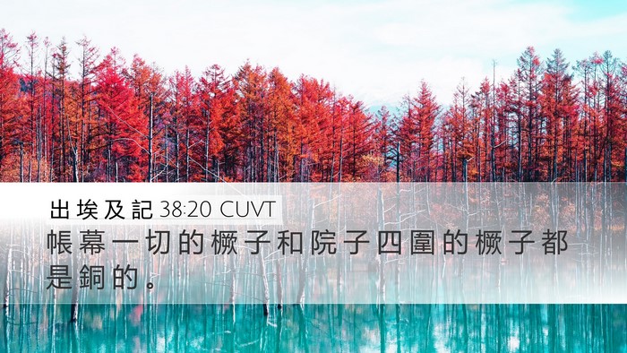 出 埃 及 記 38:20 CUVT Bible Verse Image