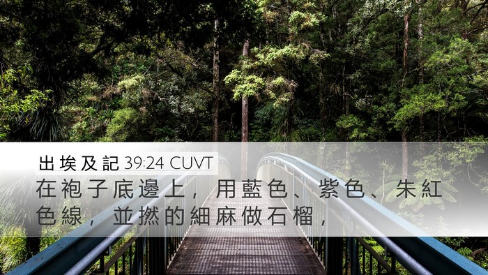 出 埃 及 記 39:24 CUVT Bible Verse Image