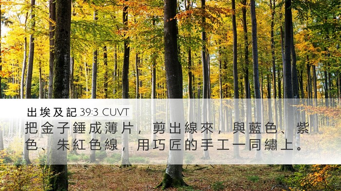 出 埃 及 記 39:3 CUVT Desktop Wallpaper - 把 金 子 錘 成 薄 片 ， 剪 出 線 來 - Desktop Bible Verse Wallpaper