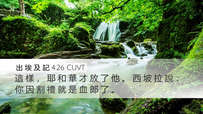 出 埃 及 記 4:26 CUVT Desktop Wallpaper - 這 樣 ， 耶 和 華 才 放 了 他 。 西 - Desktop Bible Verse Wallpaper
