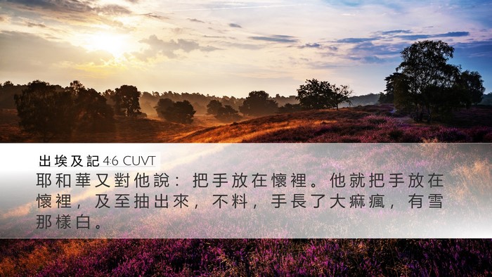 出 埃 及 記 4:6 CUVT Bible Verse Image