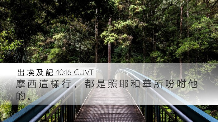 出 埃 及 記 40:16 CUVT Bible Verse Image