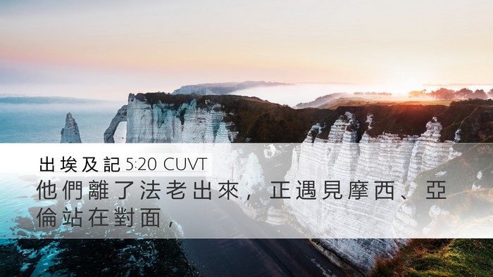 出 埃 及 記 5:20 CUVT Desktop Wallpaper - 他 們 離 了 法 老 出 來 ， 正 遇 見 - Desktop Bible Verse Wallpaper