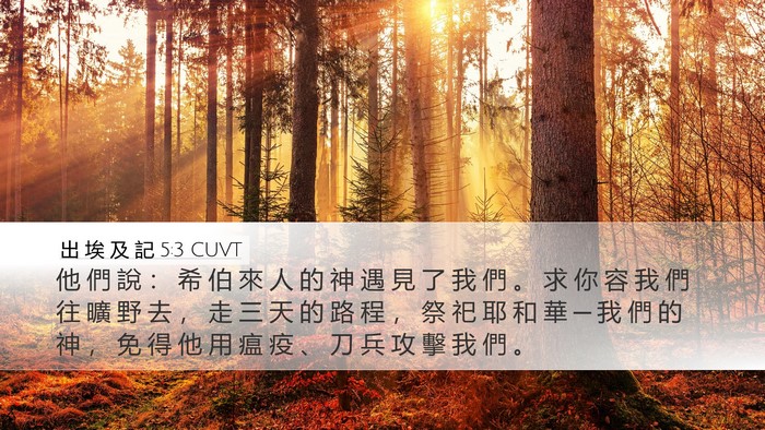 出 埃 及 記 5:3 CUVT Bible Verse Image