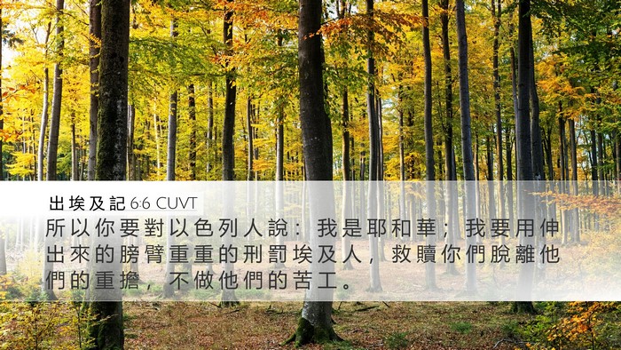 出 埃 及 記 6:6 CUVT Bible Verse Image