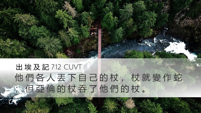 出 埃 及 記 7:12 CUVT Desktop Wallpaper - 他 們 各 人 丟 下 自 己 的 杖 ， 杖 - Desktop Bible Verse Wallpaper