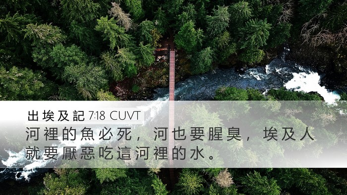 出 埃 及 記 7:18 CUVT Bible Verse Image