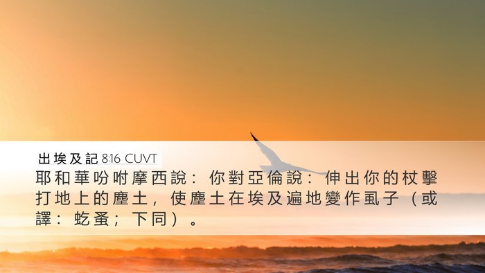 出 埃 及 記 8:16 CUVT Bible Verse Image
