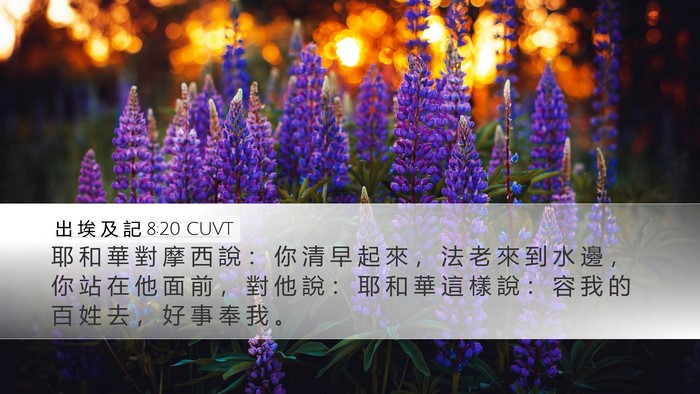 出 埃 及 記 8:20 CUVT Bible Verse Image