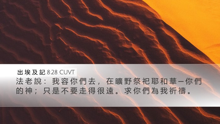出 埃 及 記 8:28 CUVT Bible Verse Image