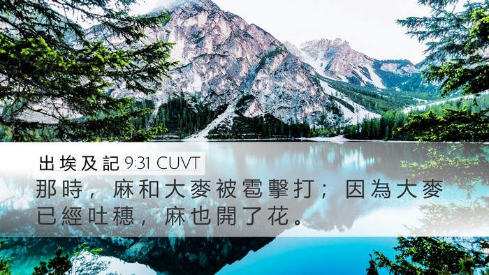 出 埃 及 記 9:31 CUVT Desktop Wallpaper - 那 時 ， 麻 和 大 麥 被 雹 擊 打 ； - Desktop Bible Verse Wallpaper