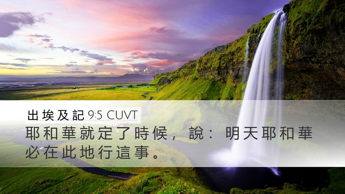 出 埃 及 記 9:5 CUVT Bible Verse Image