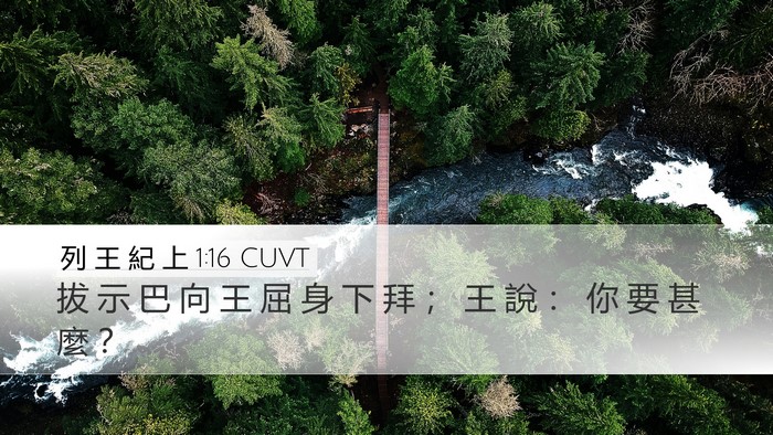 列 王 紀 上 1:16 CUVT Desktop Wallpaper - 拔 示 巴 向 王 屈 身 下 拜 ； 王 說 - Desktop Bible Verse Wallpaper