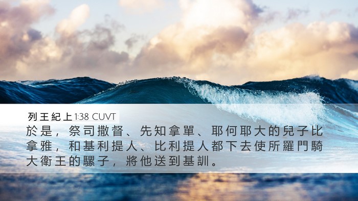 列 王 紀 上 1:38 CUVT Bible Verse Image