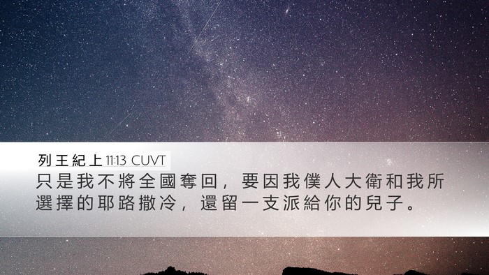 列 王 紀 上 11:13 CUVT Bible Verse Image
