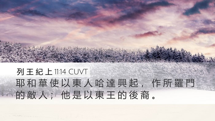 列 王 紀 上 11:14 CUVT Bible Verse Image