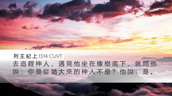 列 王 紀 上 13:14 CUVT Desktop Wallpaper - 去 追 趕 神 人 ， 遇 見 他 坐 在 橡 - Desktop Bible Verse Wallpaper