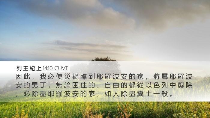 列 王 紀 上 14:10 CUVT Bible Verse Image