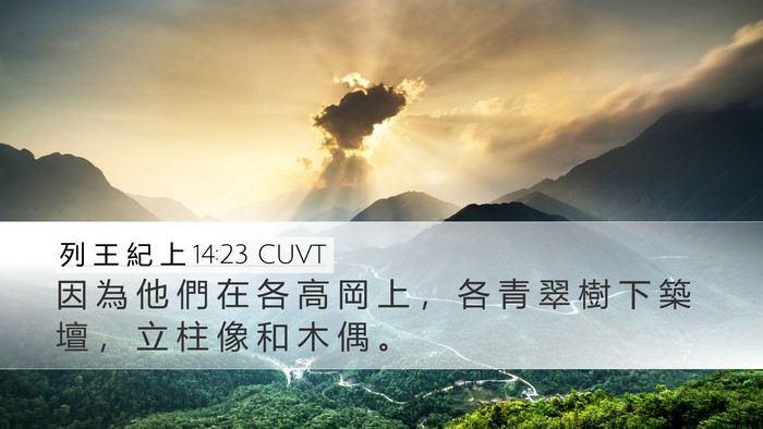 列 王 紀 上 14:23 CUVT Bible Verse Image