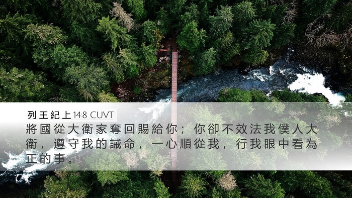 列 王 紀 上 14:8 CUVT Bible Verse Image