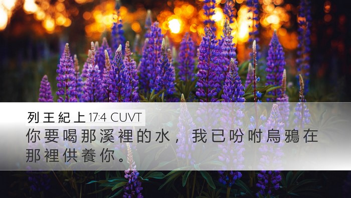列 王 紀 上 17:4 CUVT Desktop Wallpaper - 你 要 喝 那 溪 裡 的 水 ， 我 已 吩 - Desktop Bible Verse Wallpaper