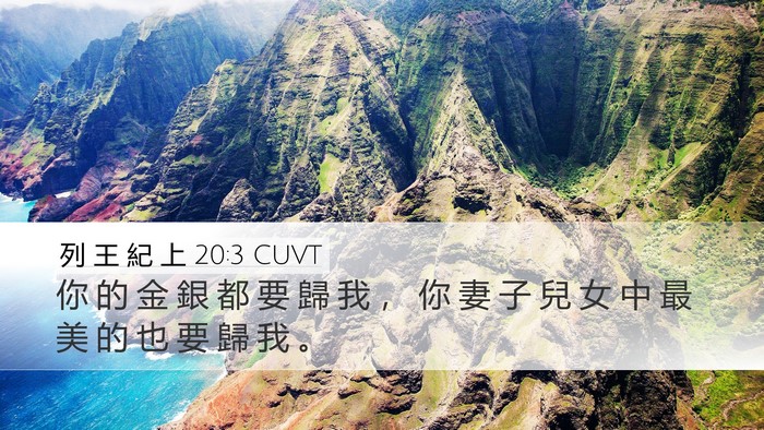 列 王 紀 上 20:3 CUVT Desktop Wallpaper - 你 的 金 銀 都 要 歸 我 ， 你 妻 子 - Desktop Bible Verse Wallpaper