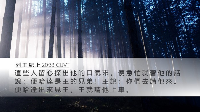 列 王 紀 上 20:33 CUVT Bible Verse Image