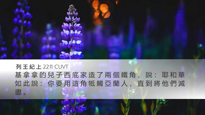 列 王 紀 上 22:11 CUVT Bible Verse Image