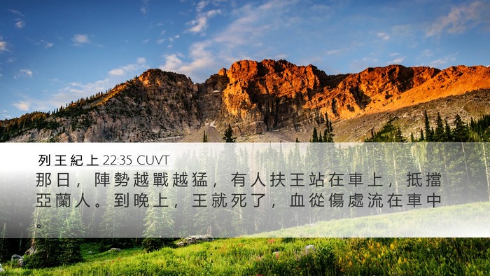 列 王 紀 上 22:35 CUVT Bible Verse Image