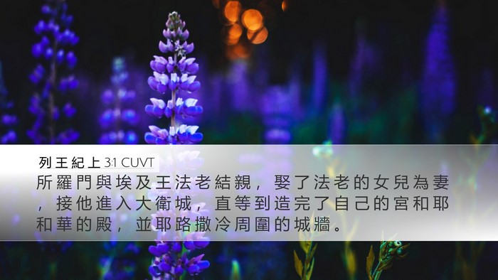 列 王 紀 上 3:1 CUVT Bible Verse Image