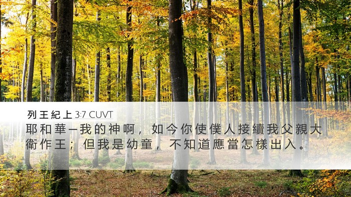 列 王 紀 上 3:7 CUVT Bible Verse Image