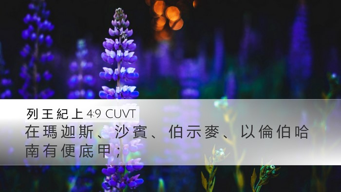 列 王 紀 上 4:9 CUVT Bible Verse Image