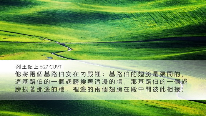 列 王 紀 上 6:27 CUVT Bible Verse Image