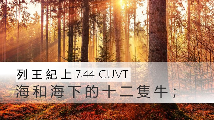 列 王 紀 上 7:44 CUVT Desktop Wallpaper - 海 和 海 下 的 十 二 隻 牛 - Desktop Bible Verse Wallpaper