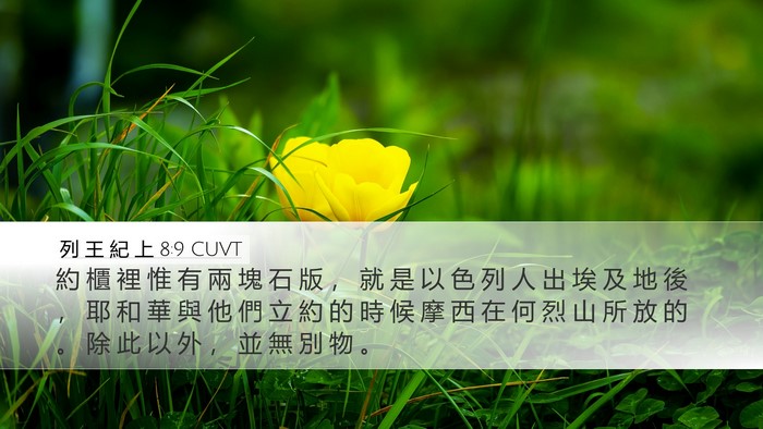列 王 紀 上 8:9 CUVT Desktop Wallpaper - 約 櫃 裡 惟 有 兩 塊 石 版 ， 就 是 - Desktop Bible Verse Wallpaper
