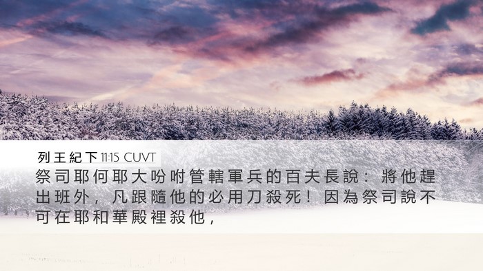 列 王 紀 下 11:15 CUVT Bible Verse Image