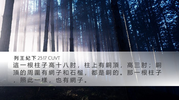 列 王 紀 下 25:17 CUVT Bible Verse Image