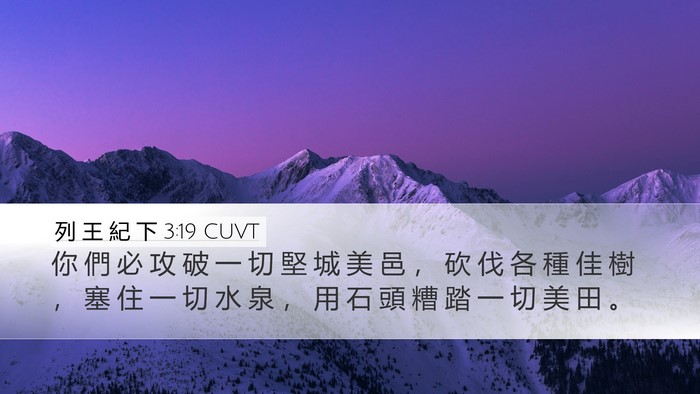 列 王 紀 下 3:19 CUVT Desktop Wallpaper - 你 們 必 攻 破 一 切 堅 城 美 邑 ， - Desktop Bible Verse Wallpaper