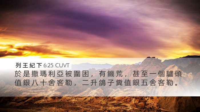 列 王 紀 下 6:25 CUVT Bible Verse Image