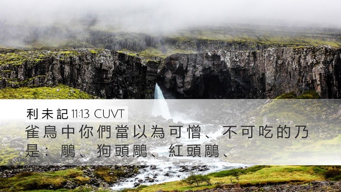 利 未 記 11:13 CUVT Desktop Wallpaper - 雀 鳥 中 你 們 當 以 為 可 憎 、 不 - Desktop Bible Verse Wallpaper