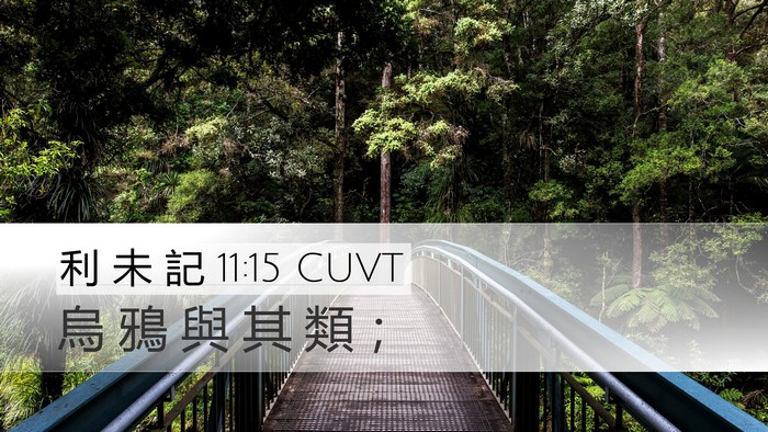 利 未 記 11:15 CUVT Desktop Wallpaper - 烏 鴉 與 其 類 - Desktop Bible Verse Wallpaper