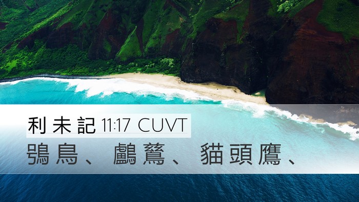 利 未 記 11:17 CUVT Desktop Wallpaper - 鴞 鳥 、 鸕 鶿 、 貓 頭 鷹 - Desktop Bible Verse Wallpaper