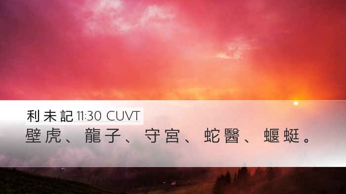 利 未 記 11:30 CUVT Desktop Wallpaper - 壁 虎 、 龍 子 、 守 宮 、 蛇 醫 、 - Desktop Bible Verse Wallpaper