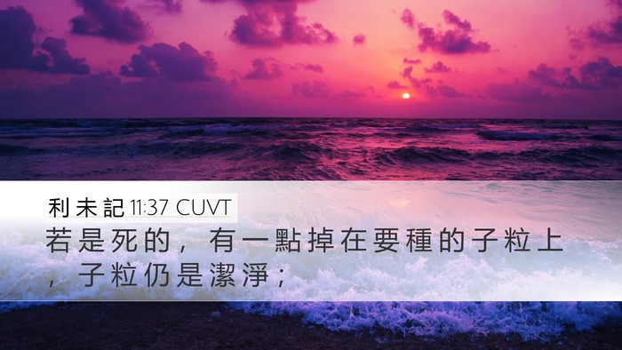 利 未 記 11:37 CUVT Desktop Wallpaper - 若 是 死 的 ， 有 一 點 掉 在 要 種 - Desktop Bible Verse Wallpaper