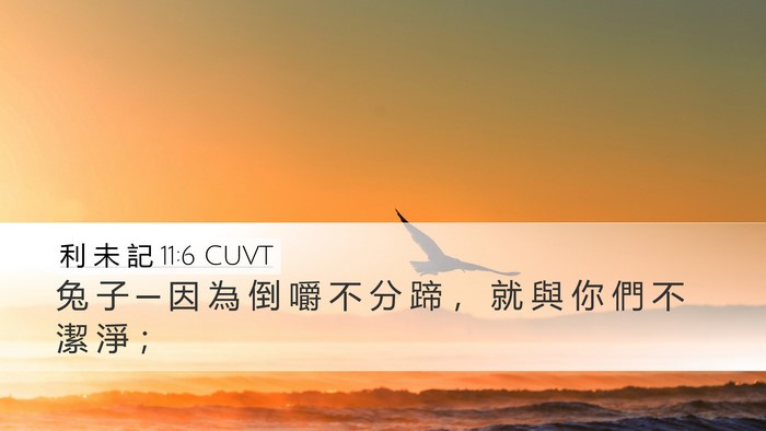 利 未 記 11:6 CUVT Desktop Wallpaper - 兔 子 ─ 因 為 倒 嚼 不 分 蹄 ， 就 - Desktop Bible Verse Wallpaper