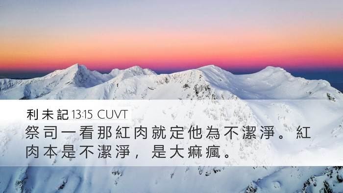 利 未 記 13:15 CUVT Desktop Wallpaper - 祭 司 一 看 那 紅 肉 就 定 他 為 不 - Desktop Bible Verse Wallpaper