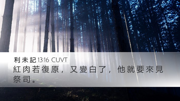 利 未 記 13:16 CUVT Desktop Wallpaper - 紅 肉 若 復 原 ， 又 變 白 了 ， 他 - Desktop Bible Verse Wallpaper