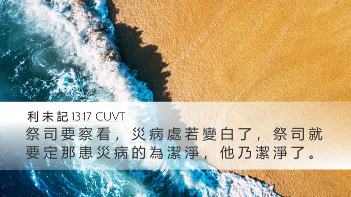 利 未 記 13:17 CUVT Desktop Wallpaper - 祭 司 要 察 看 ， 災 病 處 若 變 白 - Desktop Bible Verse Wallpaper