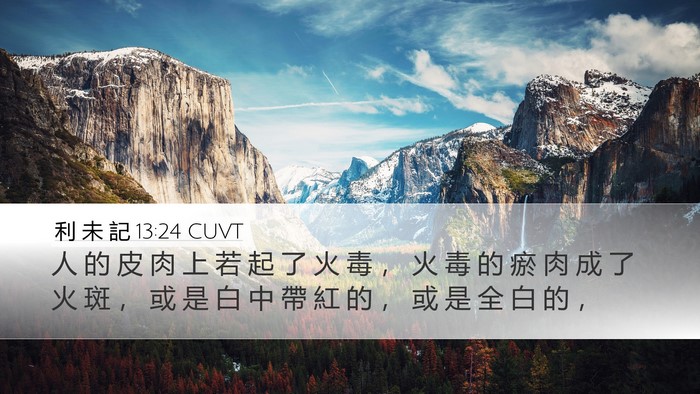 利 未 記 13:24 CUVT Bible Verse Image